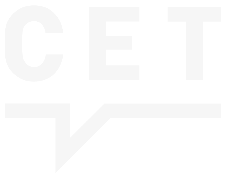 Consulting Expert Team
